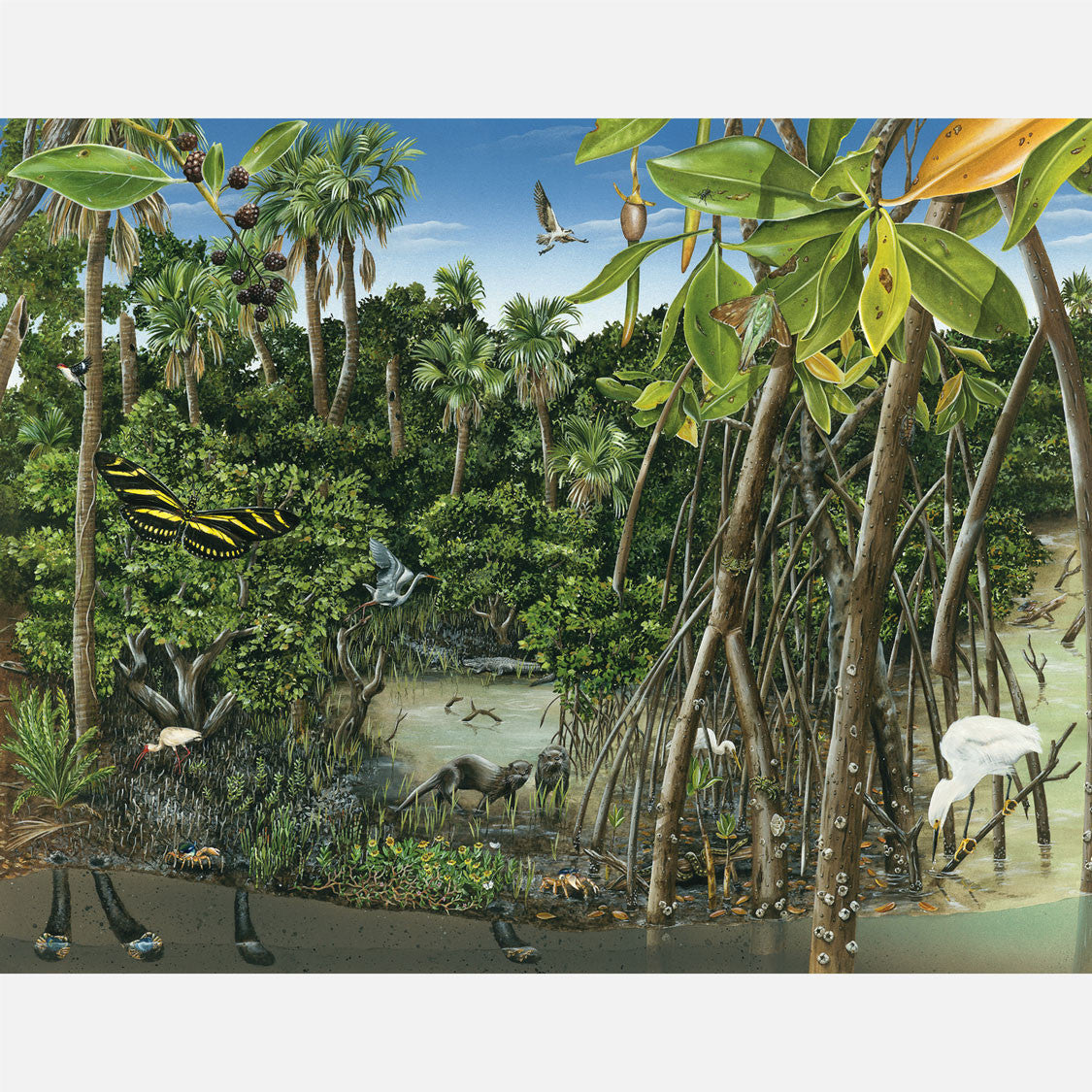 This illustration depicts an intertidal lagoon of southeast Florida. The art features mangroves, a river otter, a snowy egret, and several other plants and animals associated with the lagoon.