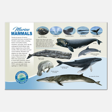 This beautiful marine mammals deck signage was  created for The Barrier Island Center, an environmental education facility located in Brevard County, Florida.