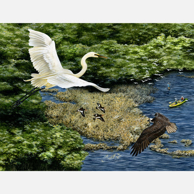 This beautiful, highly detailed and accurate illustration is of an oyster reef from a bird's eye view featuring a great egret and an osprey.