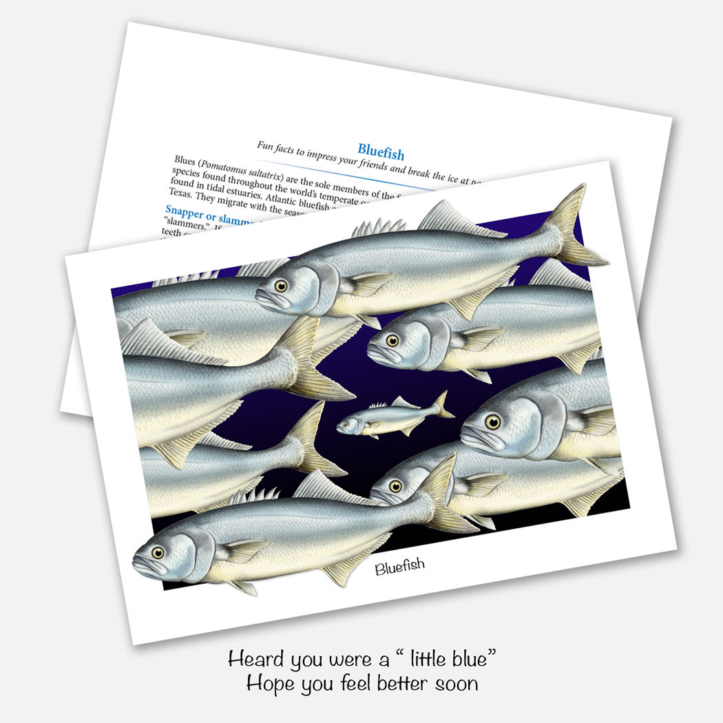 The card's design shows a small bluefish surrounded by larger blues. The inside reads 