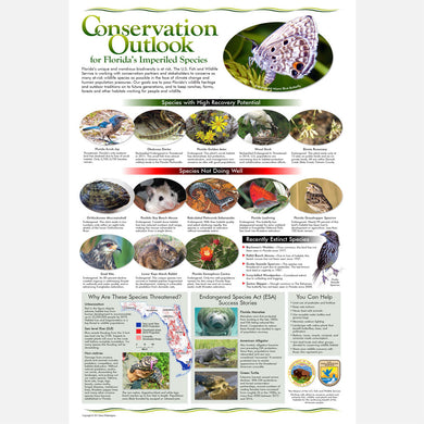 This beautiful poster provides information on the conservation of Florida's imperiled wildlife. 