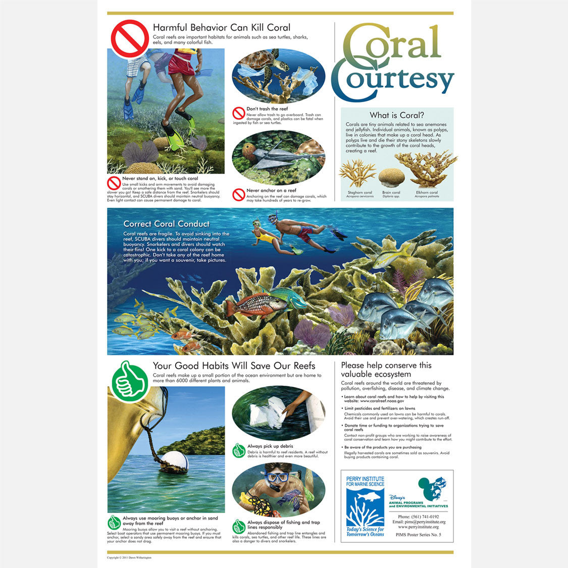 This beautiful poster provides information on the value of corals and the harmful effects human activity can have on them. 