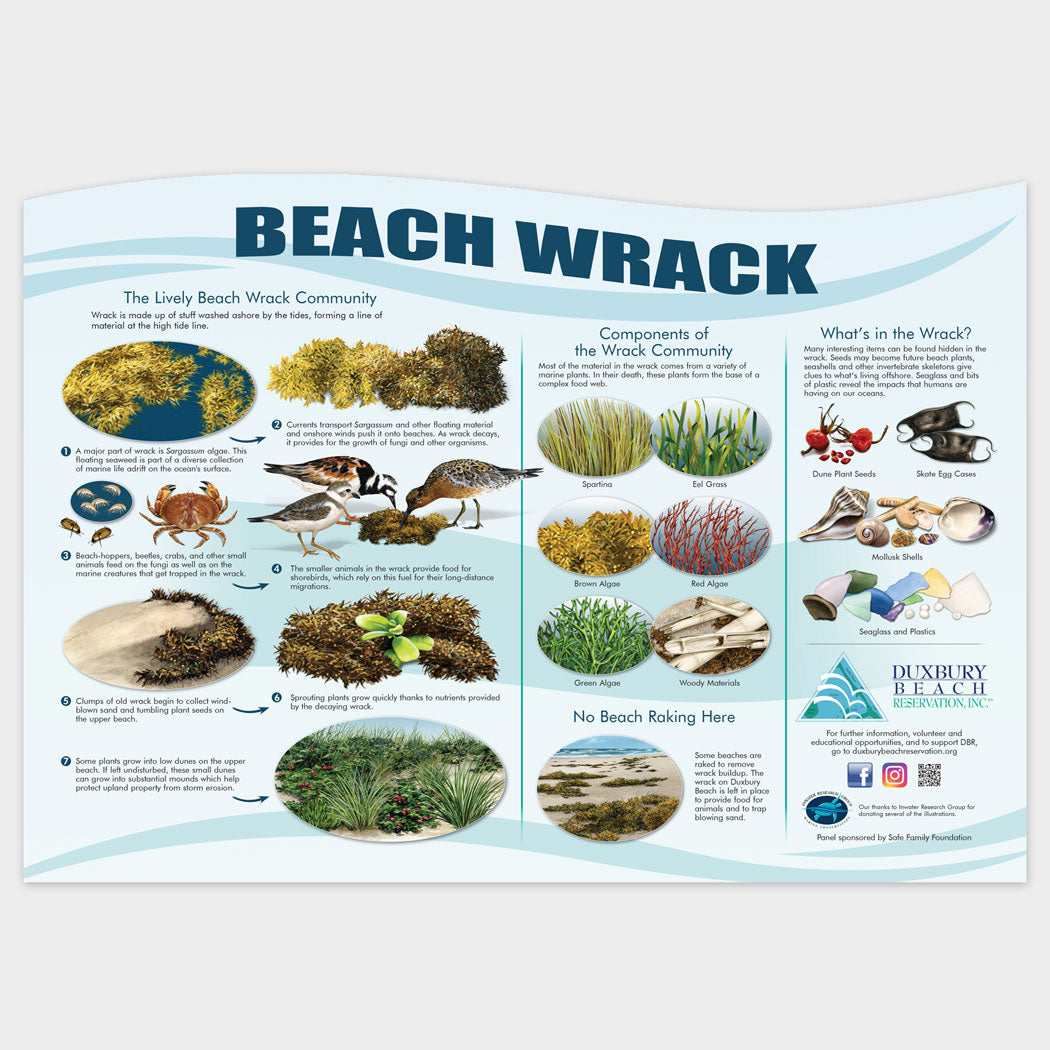 Beach wrack of Duxbury Beach Reservation display panel