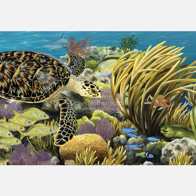 This beautiful, highly detailed illustration is of a hawksbill sea turtle, Eretmochelys imbricata, swimming over an Atlantic coral reef.