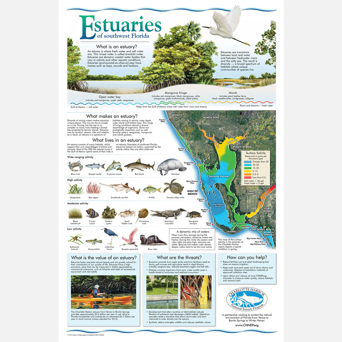 This beautiful poster provides information about estuaries of southwest Florida. 