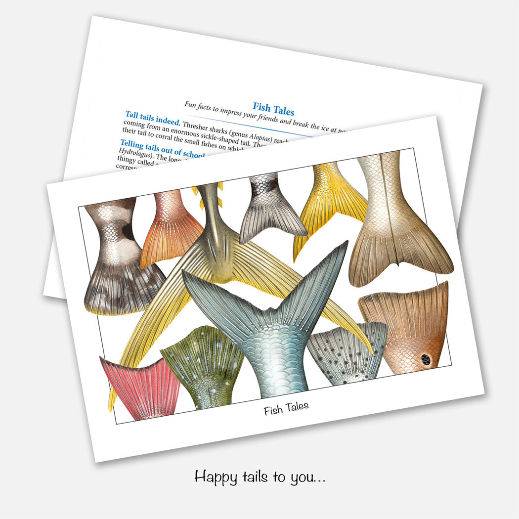 The card's image is of several fish tails (fish tales). Inside text: 
