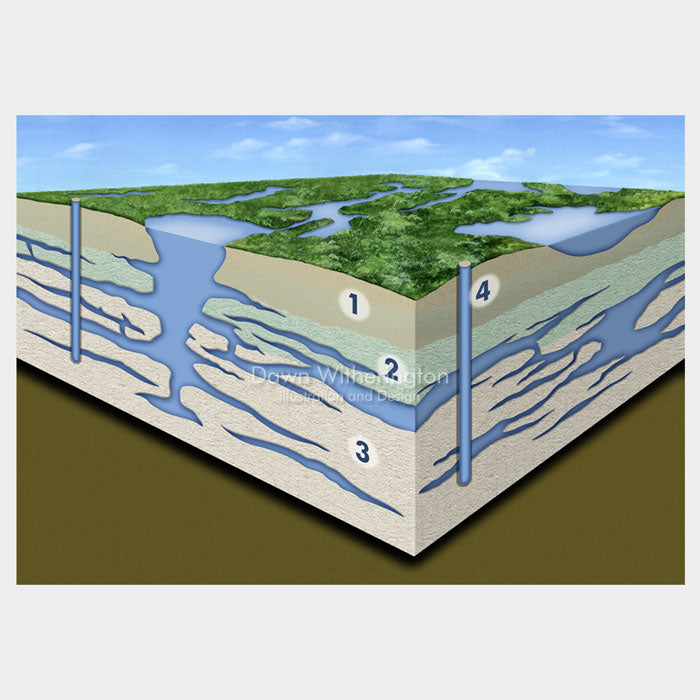 This is a graphic of the Floridan aquifer system.