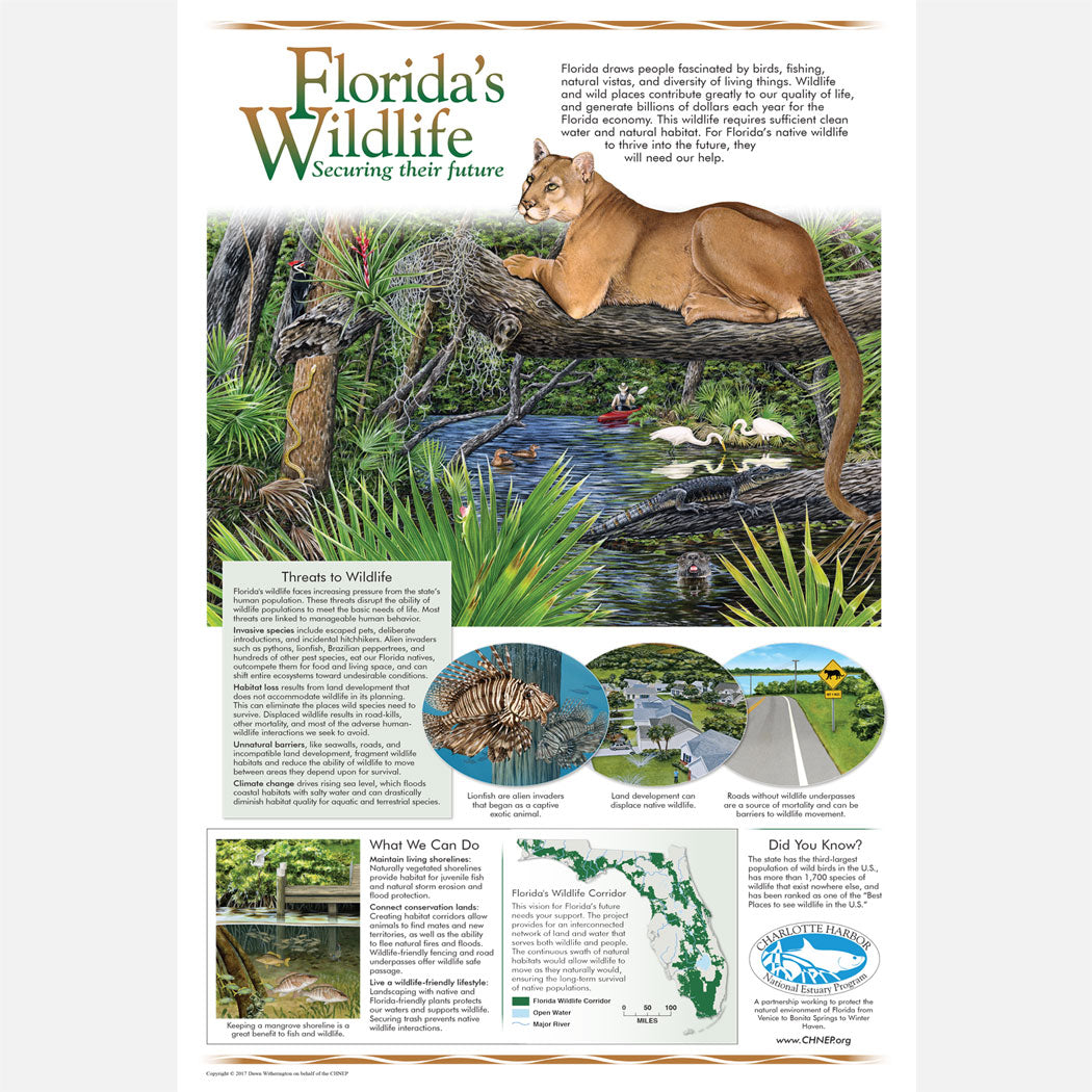 This beautiful poster provides information about Florida's wildlife. The poster features a Florida panther over a river with associated plants and animals.