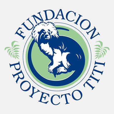 This program is designed to provide useful information to assist in the long-term preservation of the cotton-top tamarin and to develop local community advocates to promote conservation efforts in Colombia. 