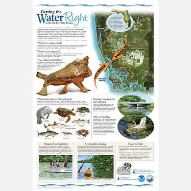 This beautiful poster provides information on the importance of the Rookery Bay estuary and watershed.