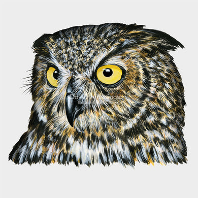 This wonderful Illustration of a great horned owl (Bubo virginianus) is accurate in detail.