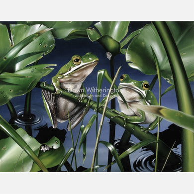 Green tree frogs