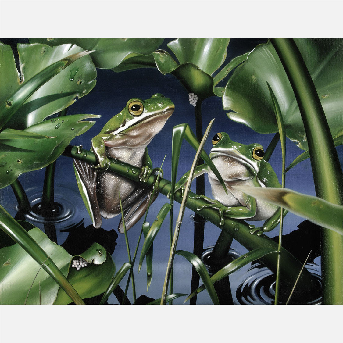 This beautiful oil painting is of a pair of green tree frogs on spatterdock, a floating freshwater plant.