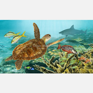 This beautiful illustration is of a juvenile green turtle is foraging on a coral reef. The art is accurately portrayed in high detail.