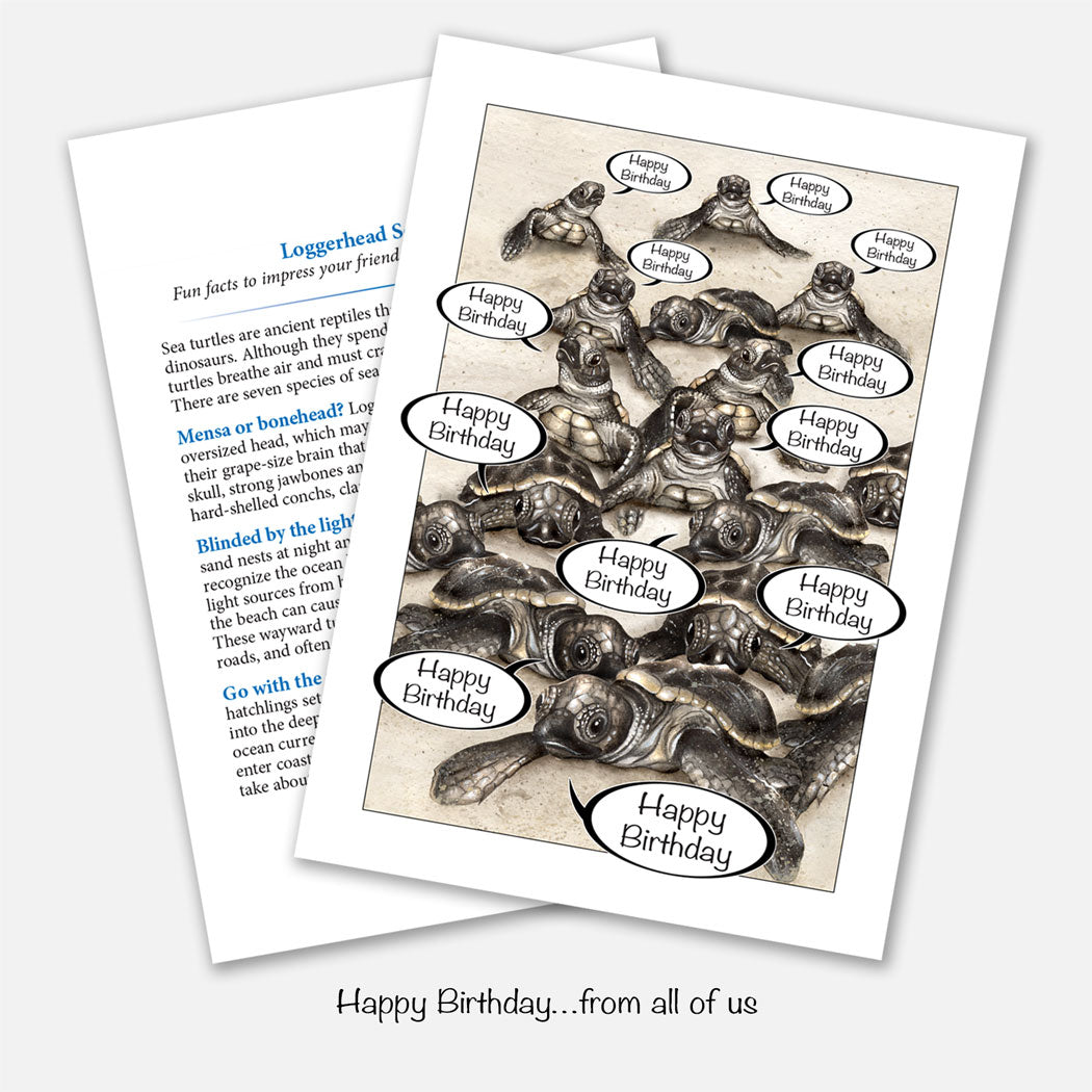 Sea Turtle Hatchlings From All of Us Birthday Card