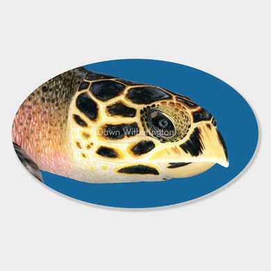 This beautiful illustration of the head of a hawksbill sea turtle, Eretmochelys imbricata, is biologically accurate in detail.