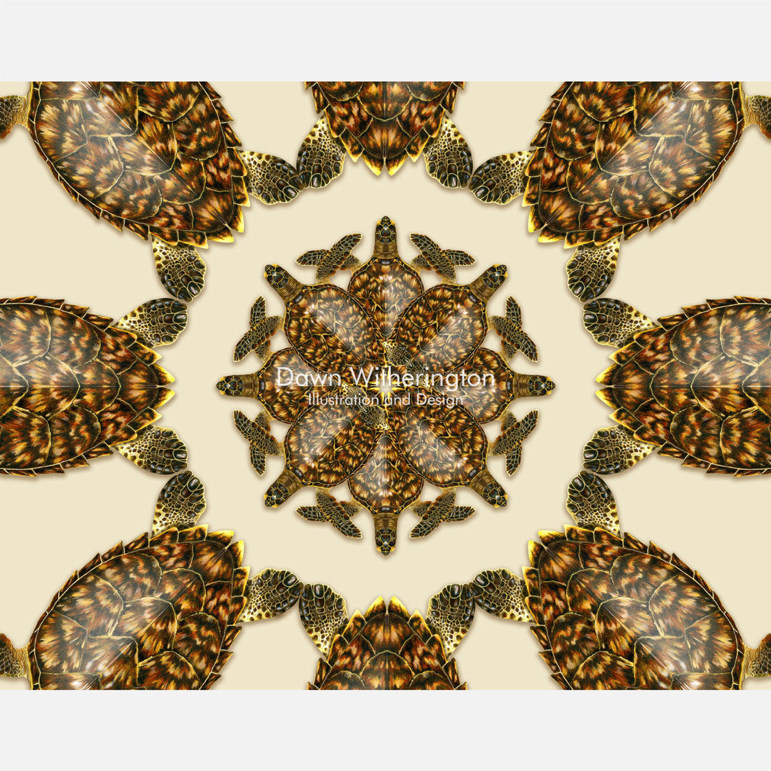 This beautiful design is of a kaleidoscopic graphic of hawksbill sea turtles, Eretmochelys imbricata. 