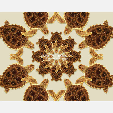 This beautiful design is of a kaleidoscopic graphic of loggerhead sea turtles, Caretta caretta.