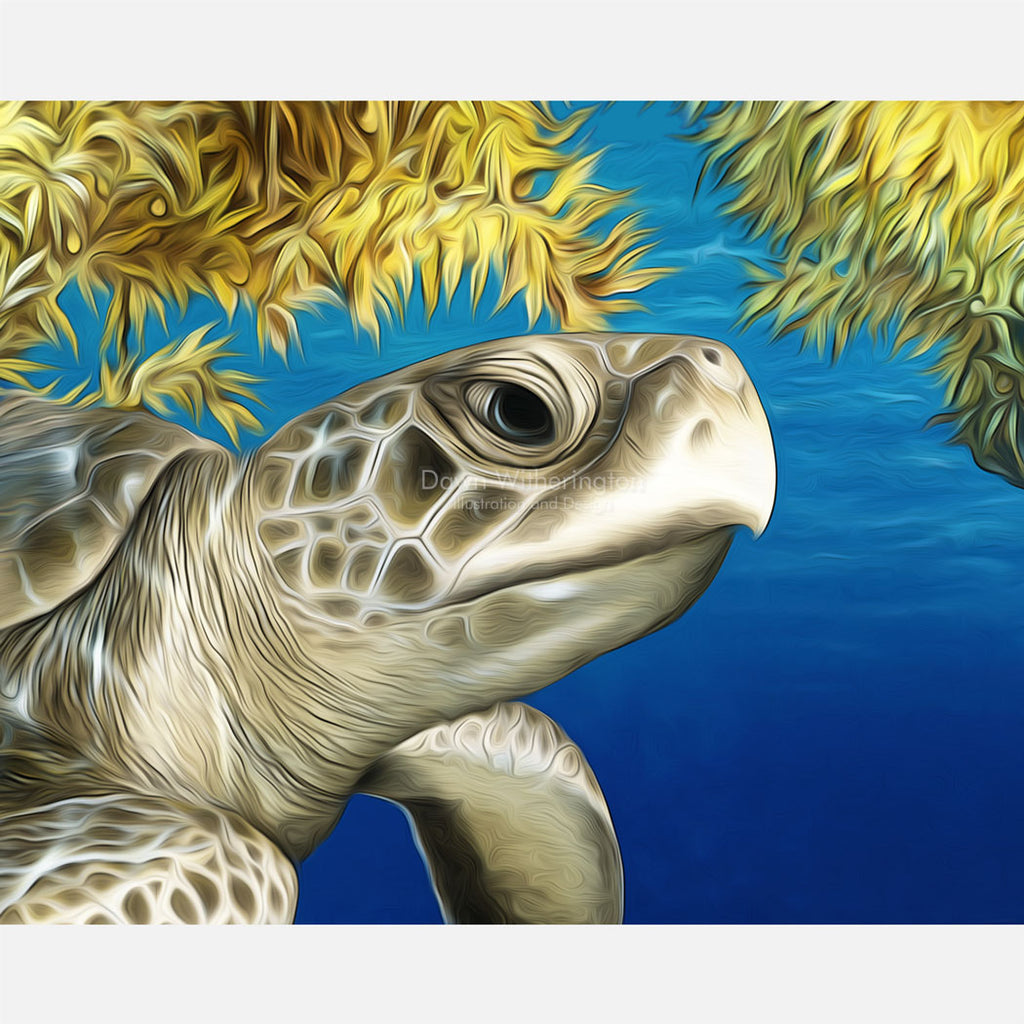 Stylized Kemp's ridley sea turtle – drawnbydawn