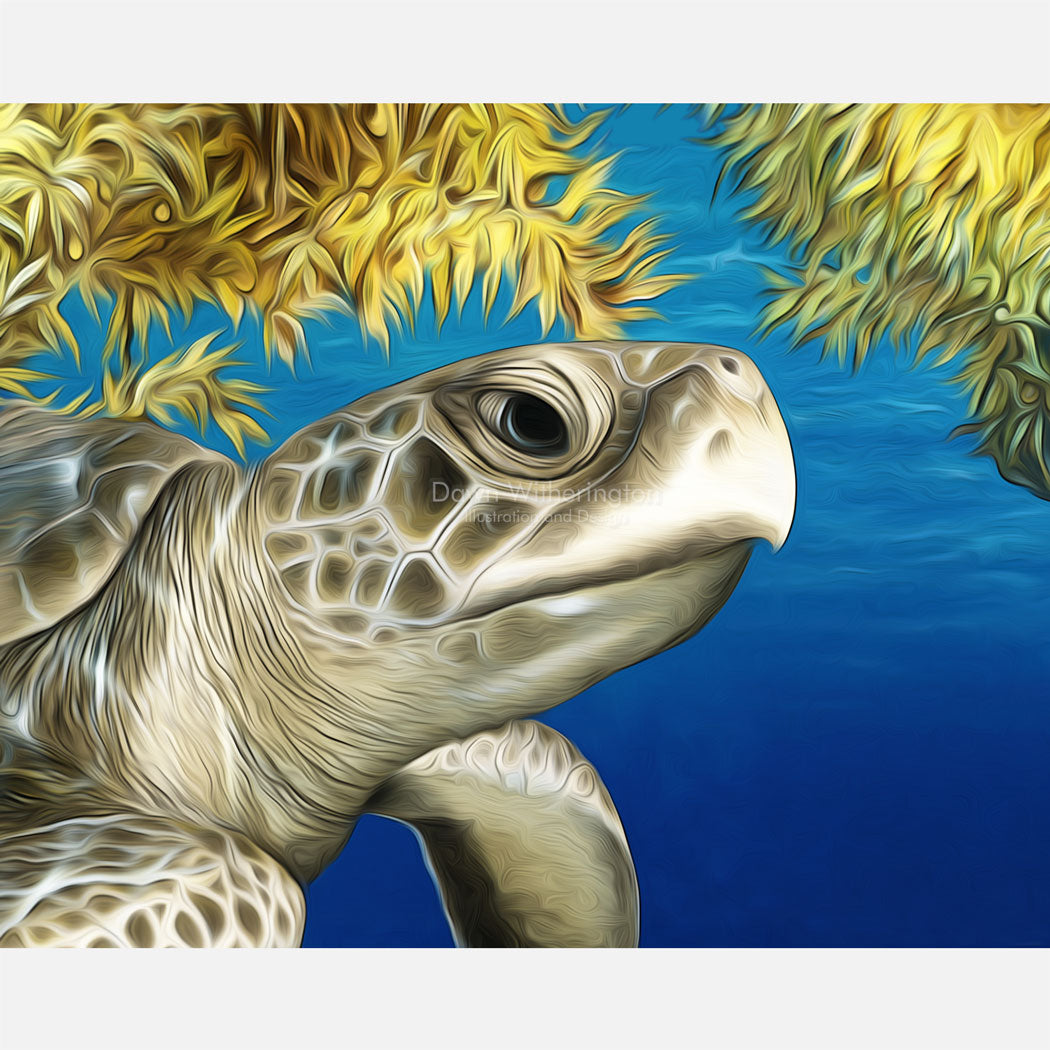 Stylized Kemp's ridley sea turtle