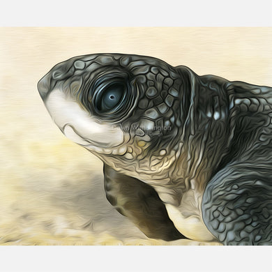 Stylized leatherback sea turtle hatchling
