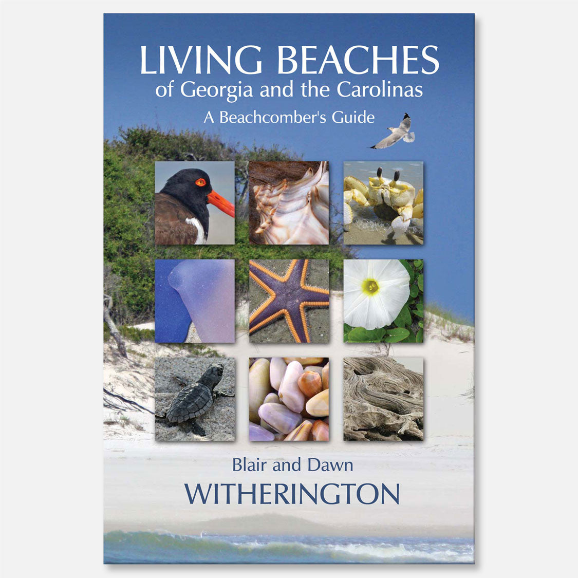 Living Beaches of Georgia and the Carolina's by Blair and Dawn Witherington