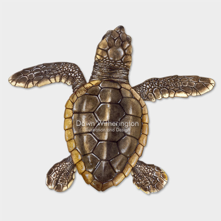 This beautiful drawing of a hatchling loggerhead sea turtle, Caretta caretta, is biologically accurate in detail. 