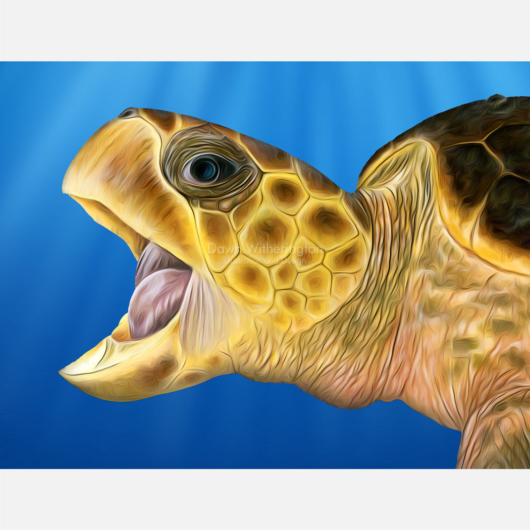 Stylized loggerhead sea turtle