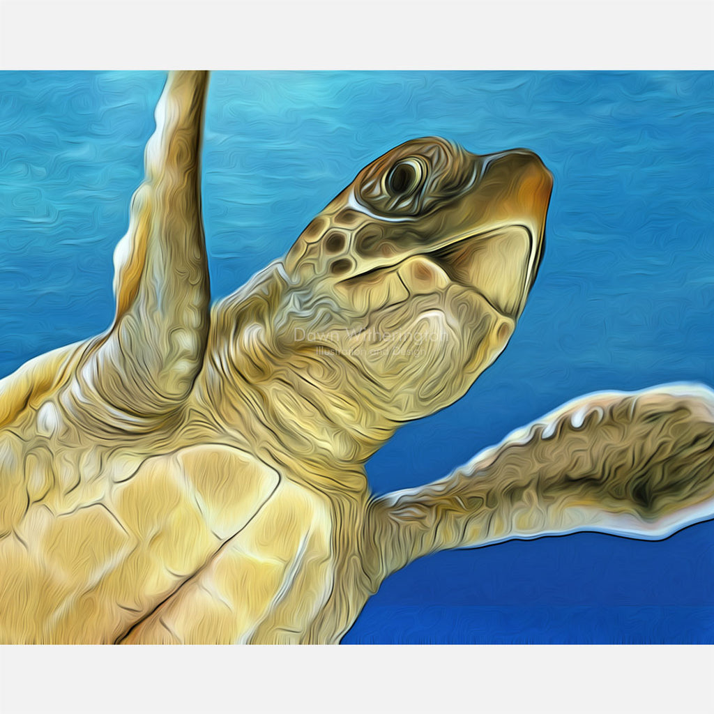 Stylized posthatchling loggerhead sea turtle – drawnbydawn