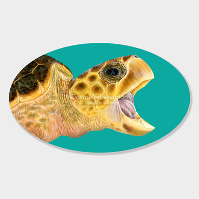This beautiful drawing of the head of a loggerhead sea turtle, Caretta caretta, is biologically accurate in detail. 