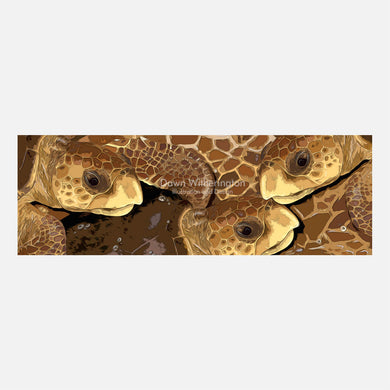 Loggerhead sea turtle graphic