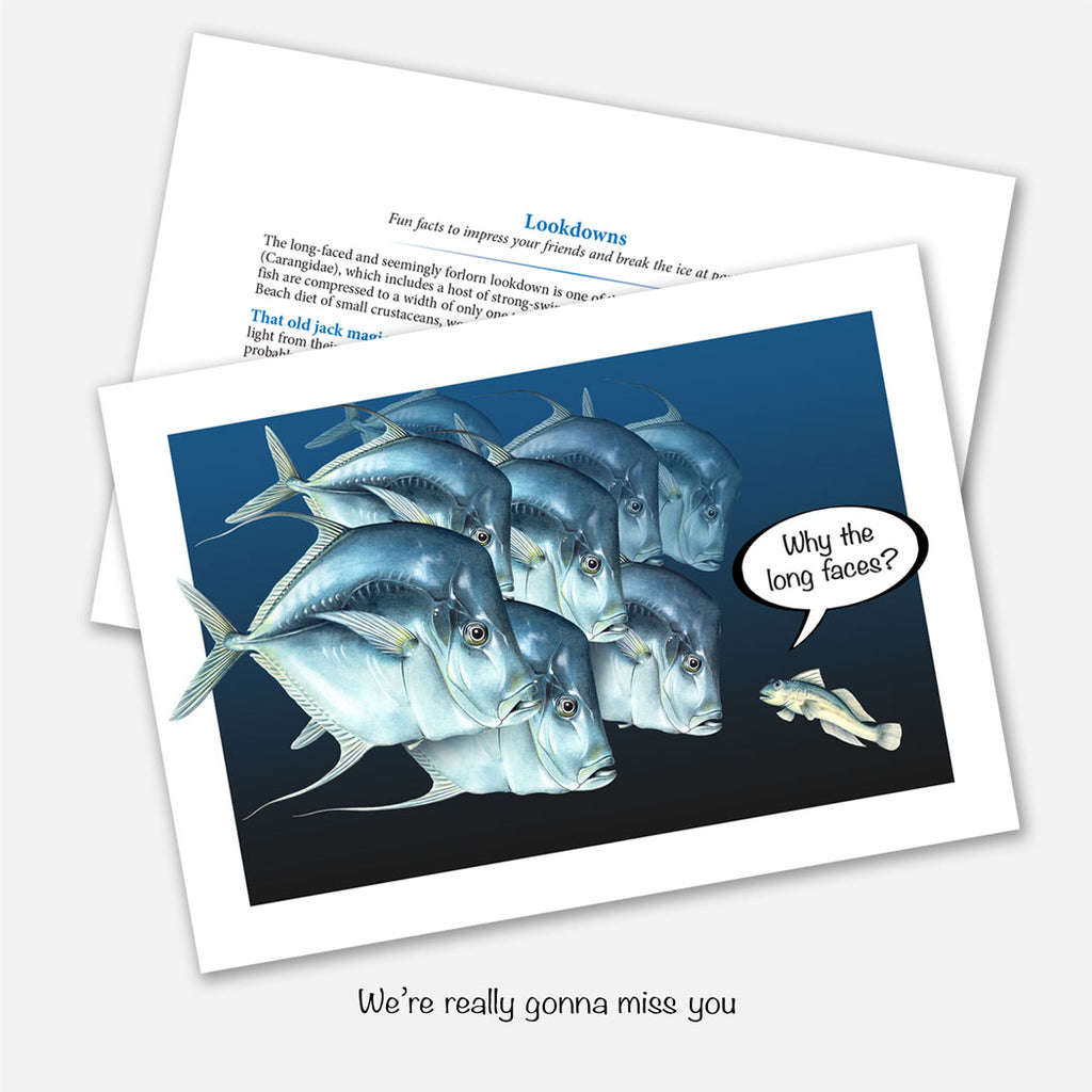 Lookdown Fish Gonna Miss You Card – drawnbydawn