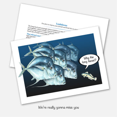 The card's image is of a small fish asking a group of lookdowns 