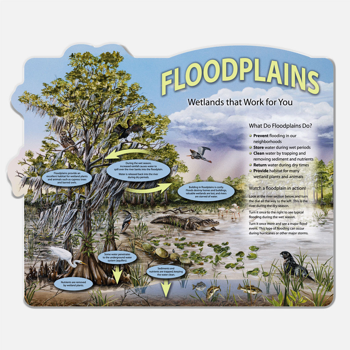 This beautifully illustrated display describes the roles of floodplains and wetlands.