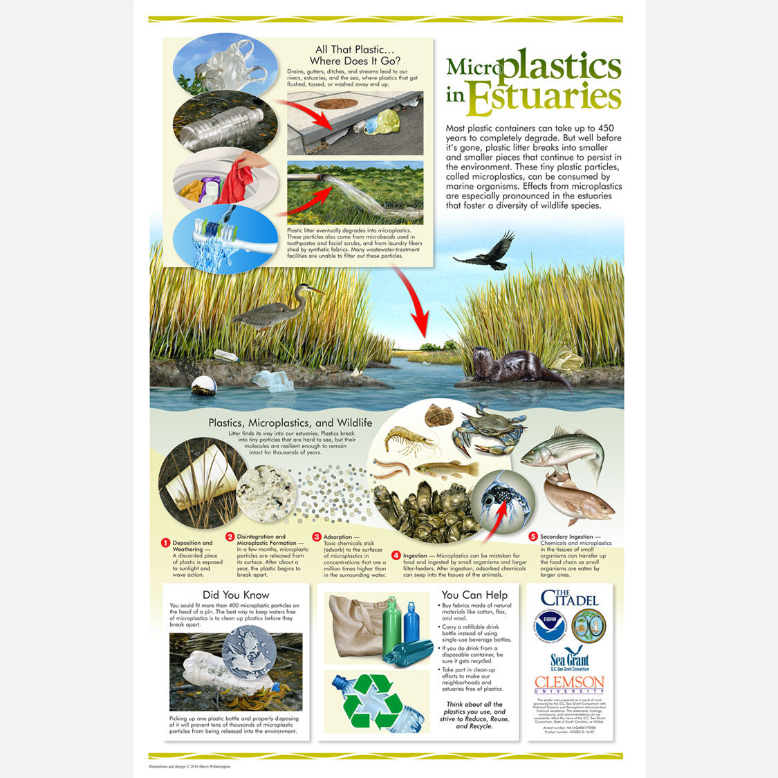 This beautiful poster provides information on the harmful plastics and microplastics that enter our estuaries.