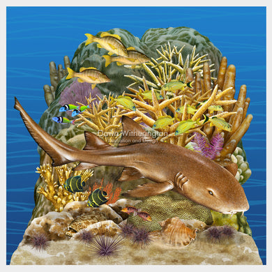 Florida Reef Tract Display Featuring a Nurse Shark, Florida Oceanographic Society Ocean EcoCenter