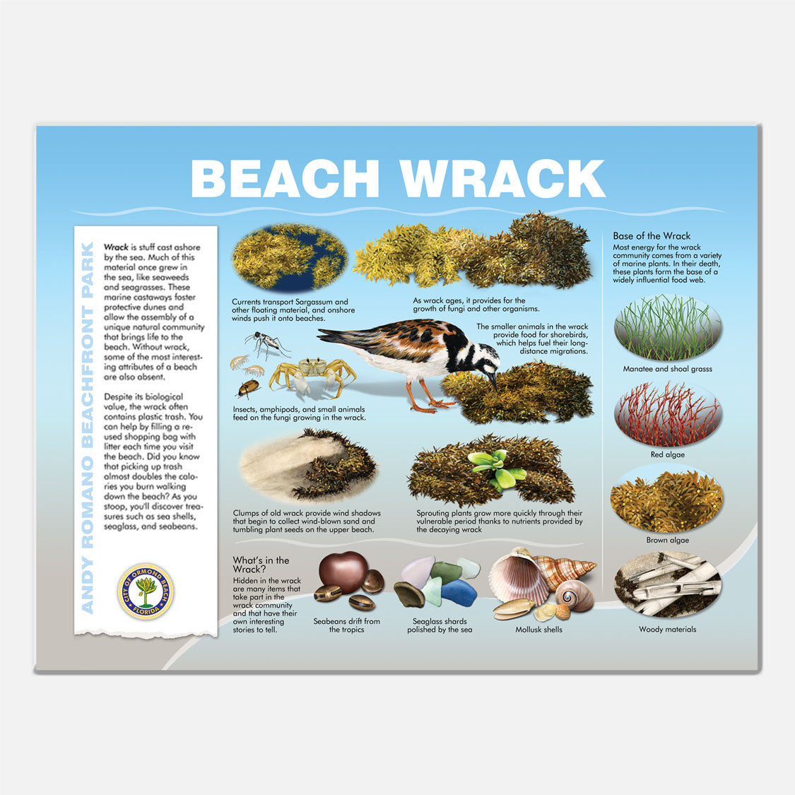 This beautifully illustrated educational display describes the beach wrack at Andy Romano Beachfront Park, Ormond Beach, Florida.