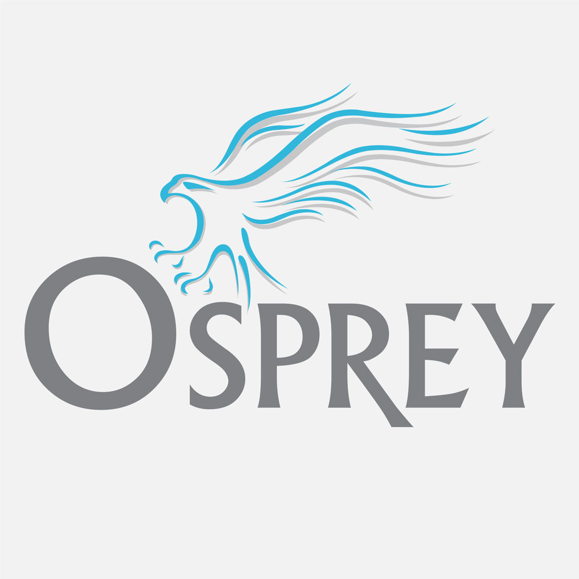 Osprey Health facilitates clinic services to achieve efficient use of resources. The logo is a graphical depiction of an osprey.