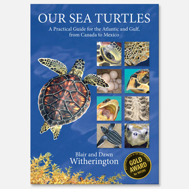 Our Sea Turtles by Blair and Dawn Witherington