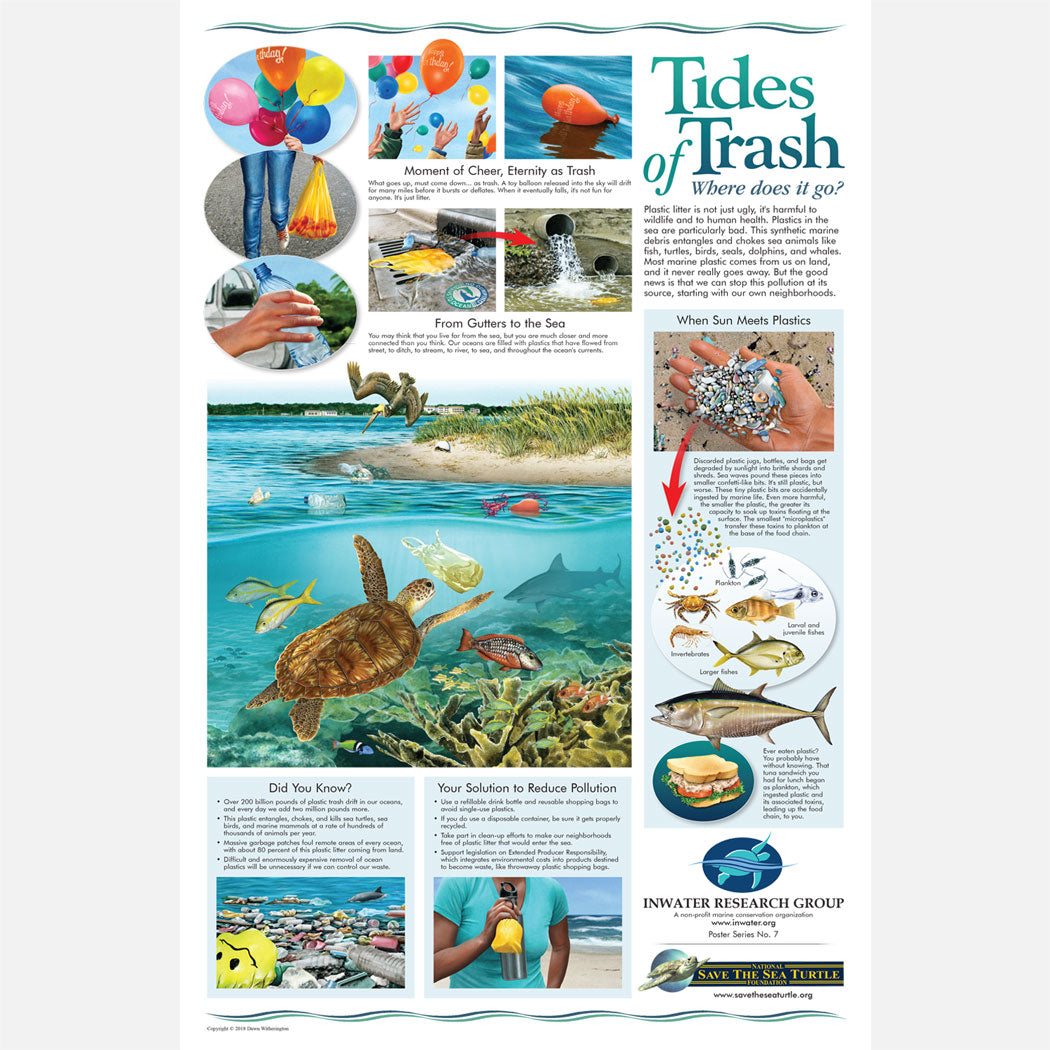 This beautiful poster provides information on the harmful plastics and microplastics that enter our waterways.