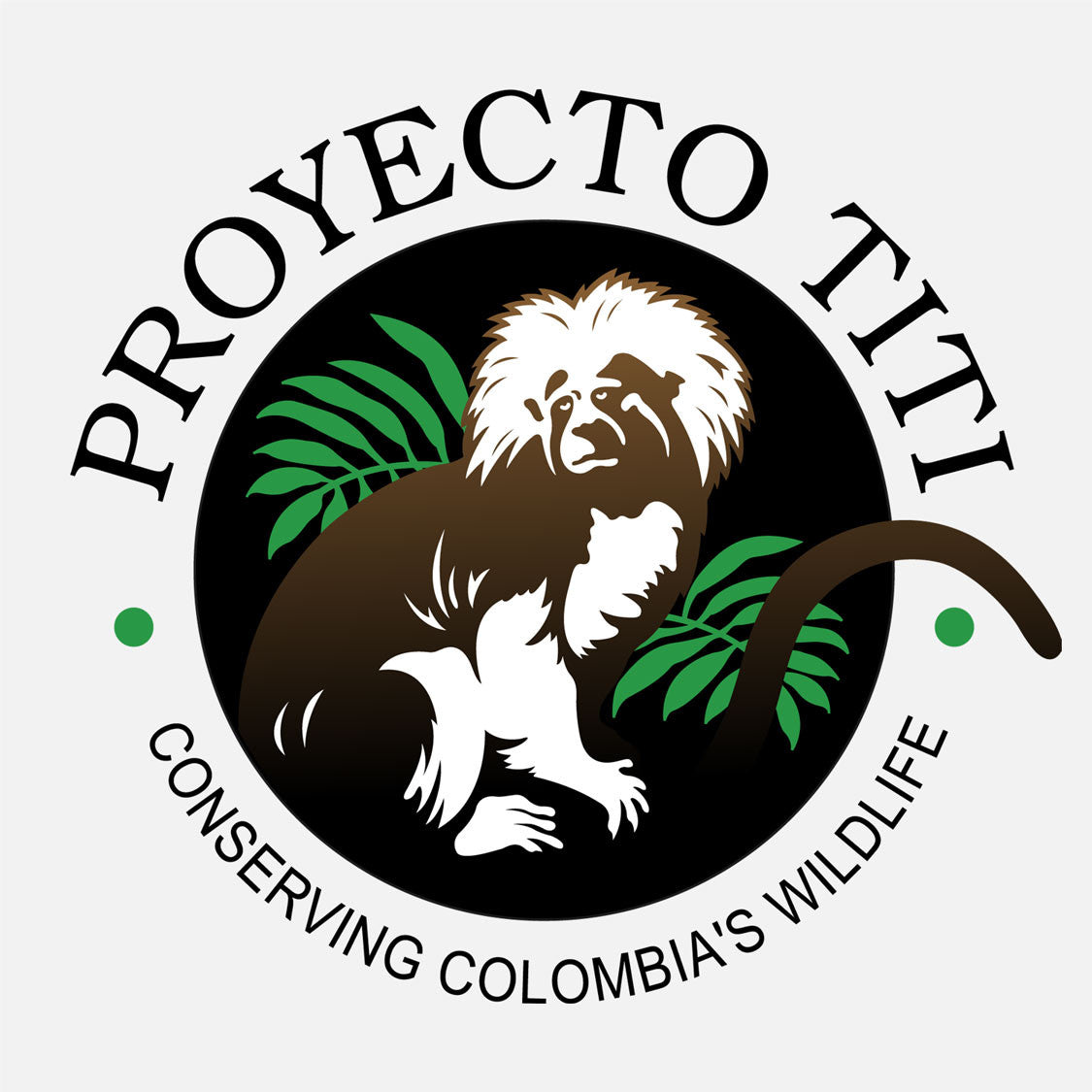 This program is designed to provide useful information to assist in the long-term preservation of the cotton-top tamarin and to develop local community advocates to promote conservation efforts in Colombia.