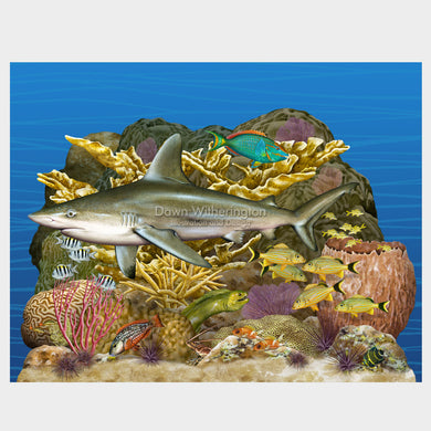 Florida Reef Tract Display Featuring a Sandbar Shark, Florida Oceanographic Society Ocean EcoCenter