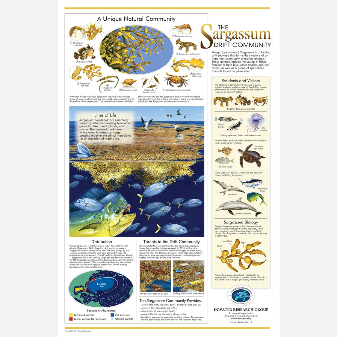 This beautiful poster provides information on the importance of the open-ocean sargassum (seaweed) community. 