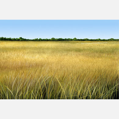 This beautiful illustration is of a Florida sawgrass prairie.