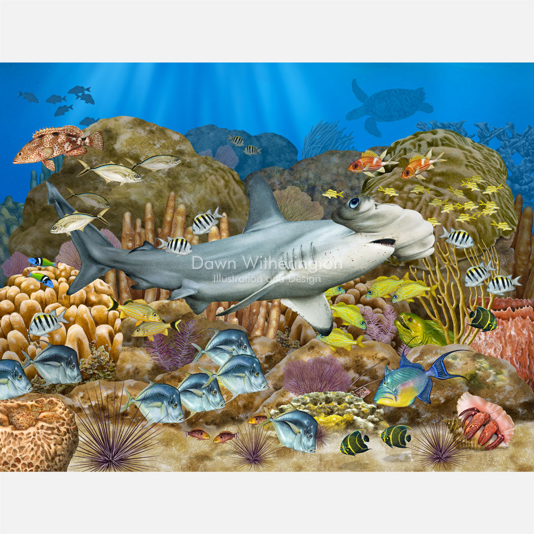 Hammerhead Shark in Coral Reef Habitat