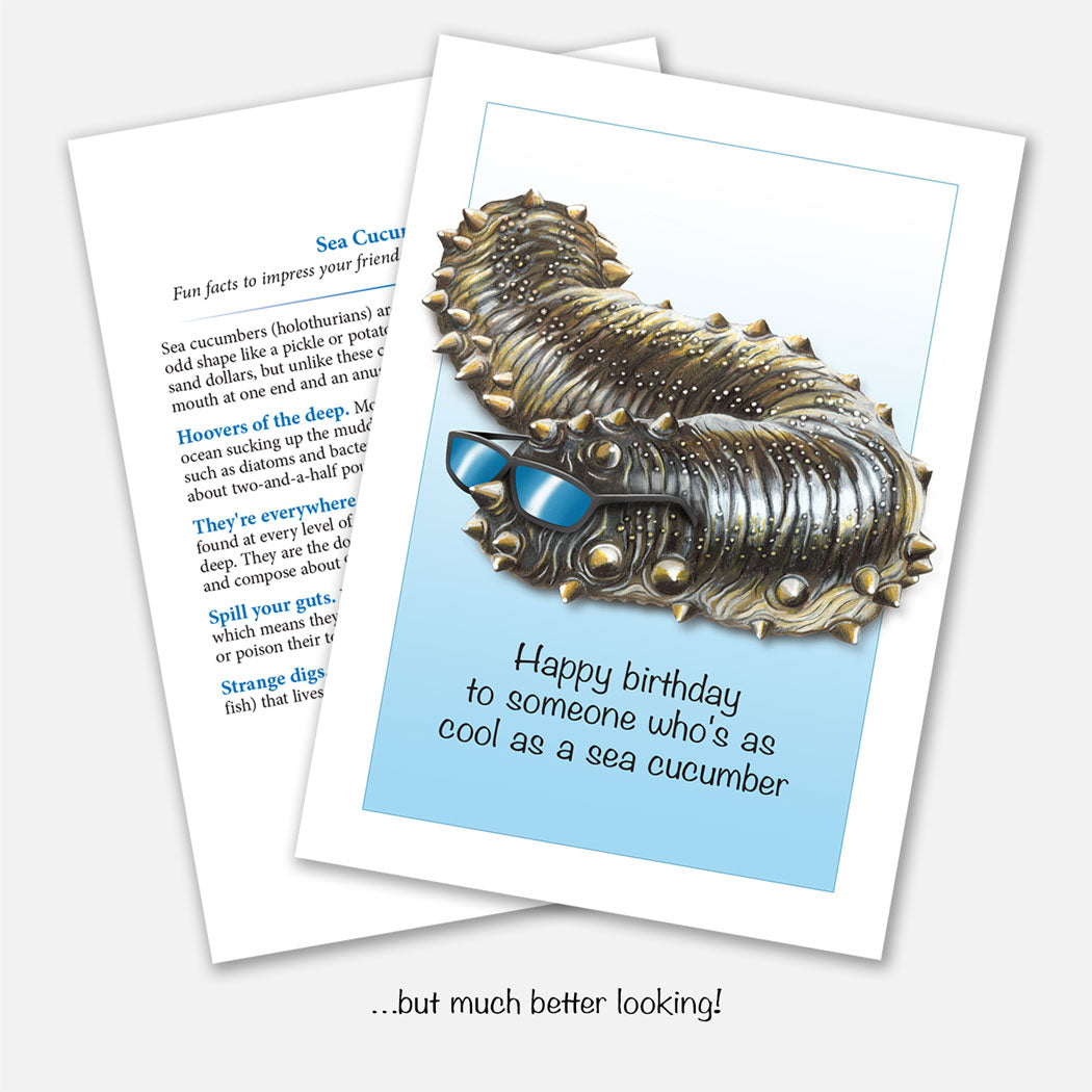 Cool as a Sea Cucumber Birthday Card