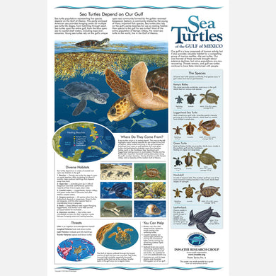 This beautiful poster provides information and identification of the five sea turtle species found in the Gulf of Mexico.