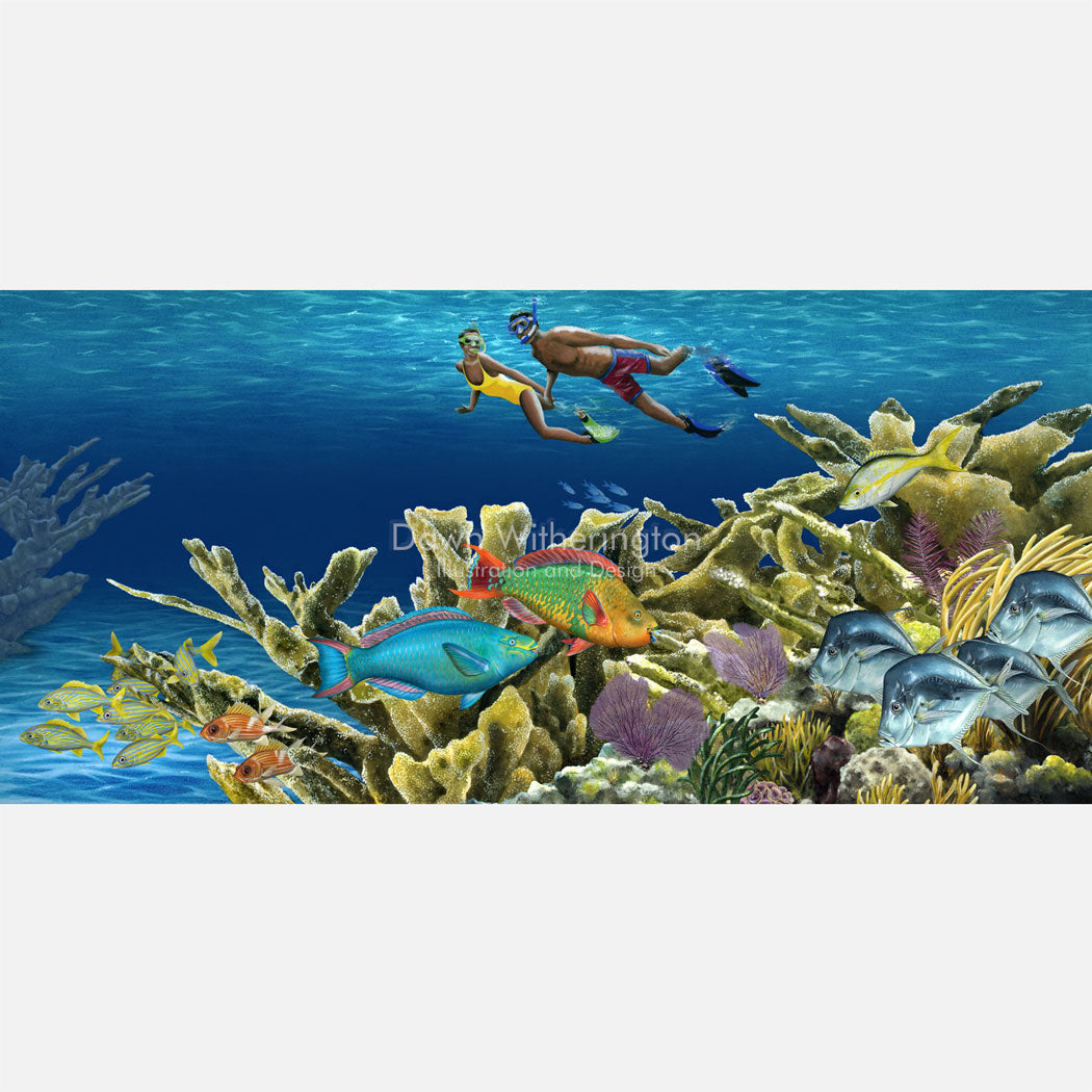 This beautiful illustration is of snorkelers over a Bahamian coral reef. The art is accurately portrayed in high detail.