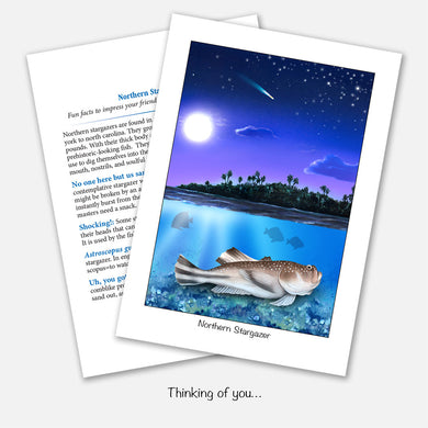 Northern Stargazer Thinking of You Card