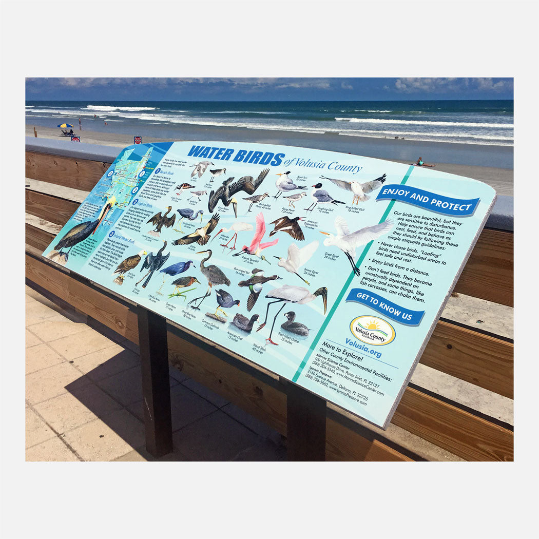 This beautifully illustrated educational display describes and identifies water birds of Volusia County.